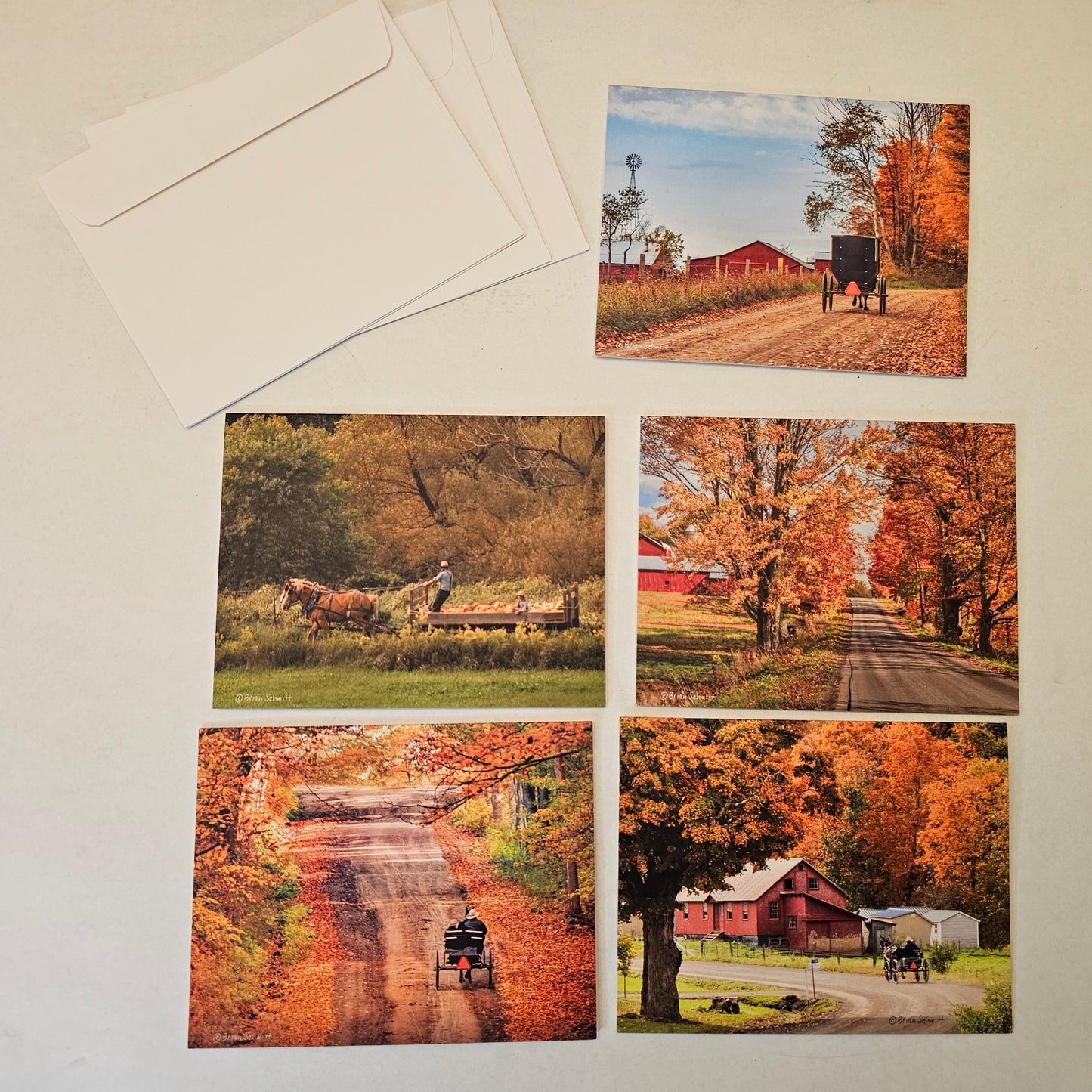 Notecards (Amish photograpy)