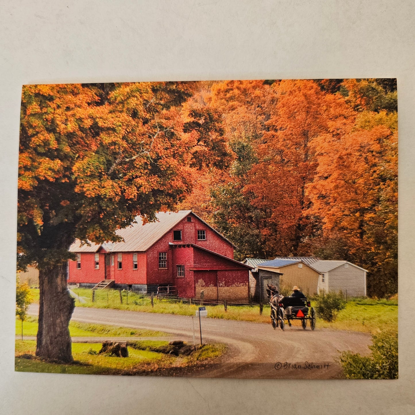 Notecards (Amish photograpy)