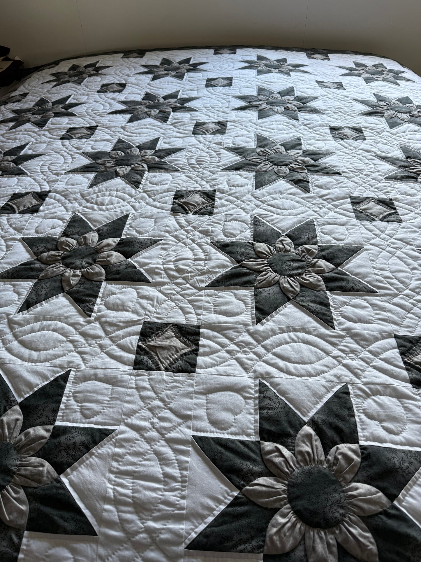 Amish Quilt (Star Dahlia)