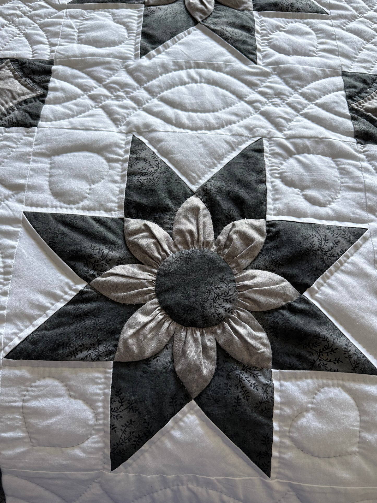 Amish Quilt (Star Dahlia)