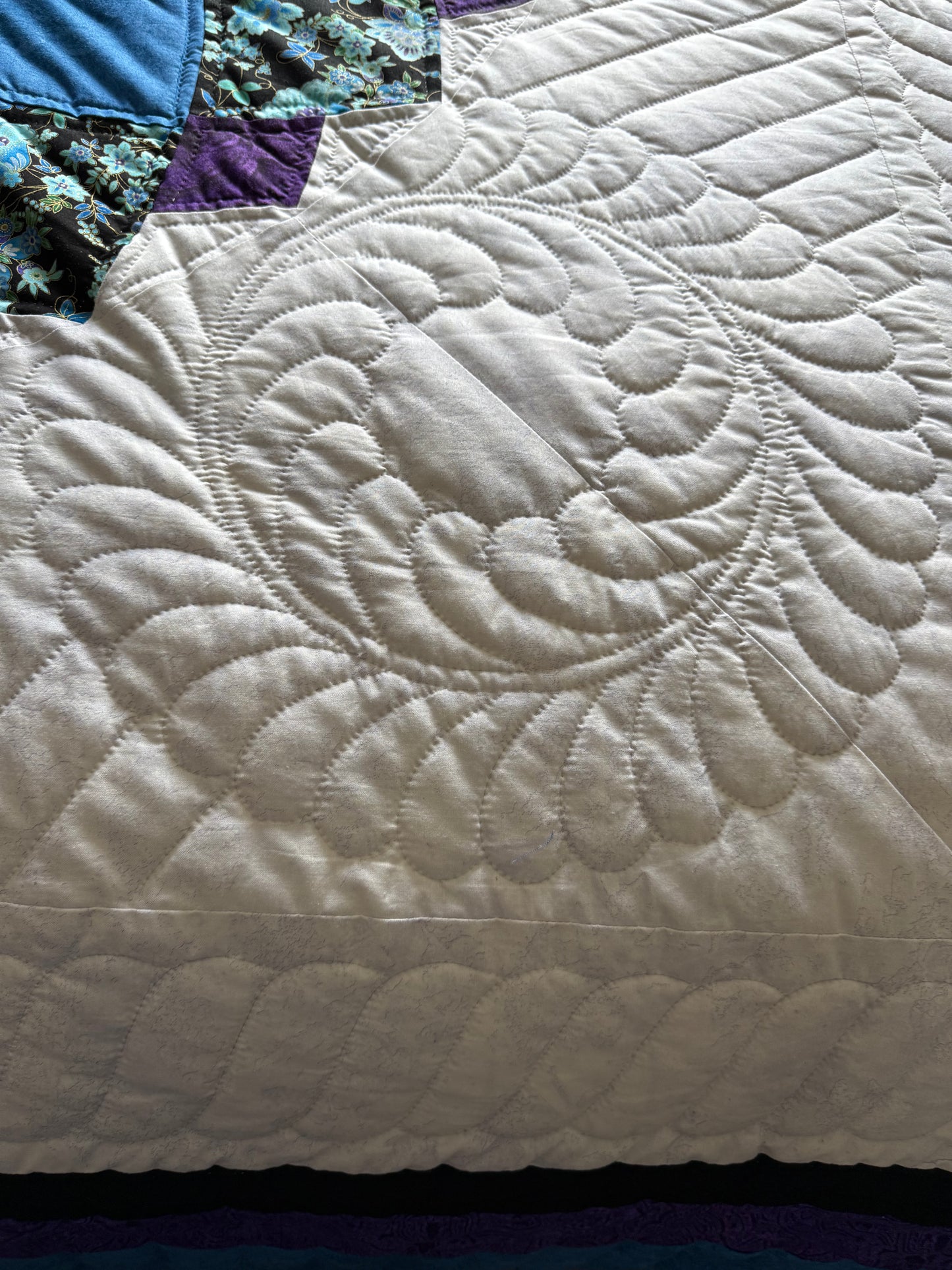 Amish Quilt (Giant Dahlia)