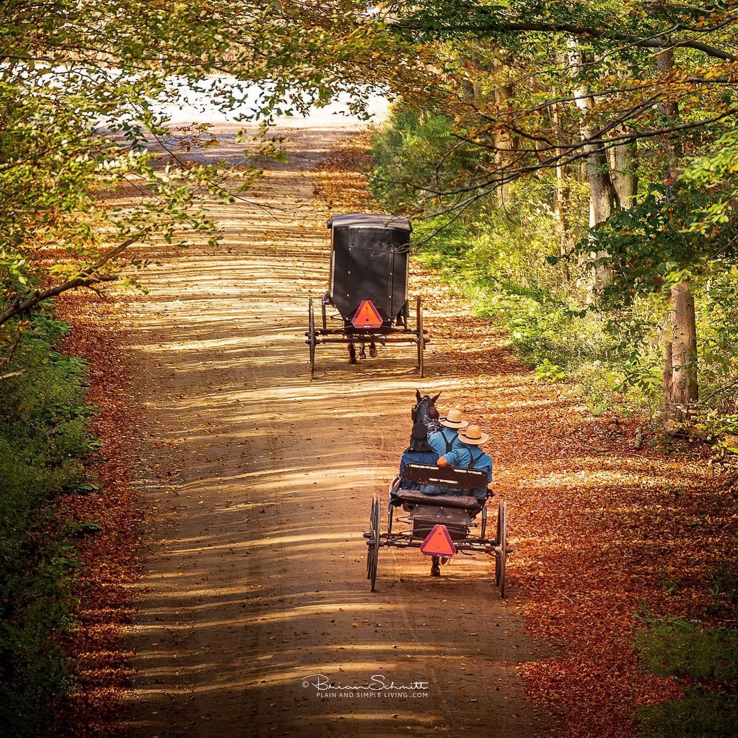 Calendar: Simple Life Amish Country Calendar