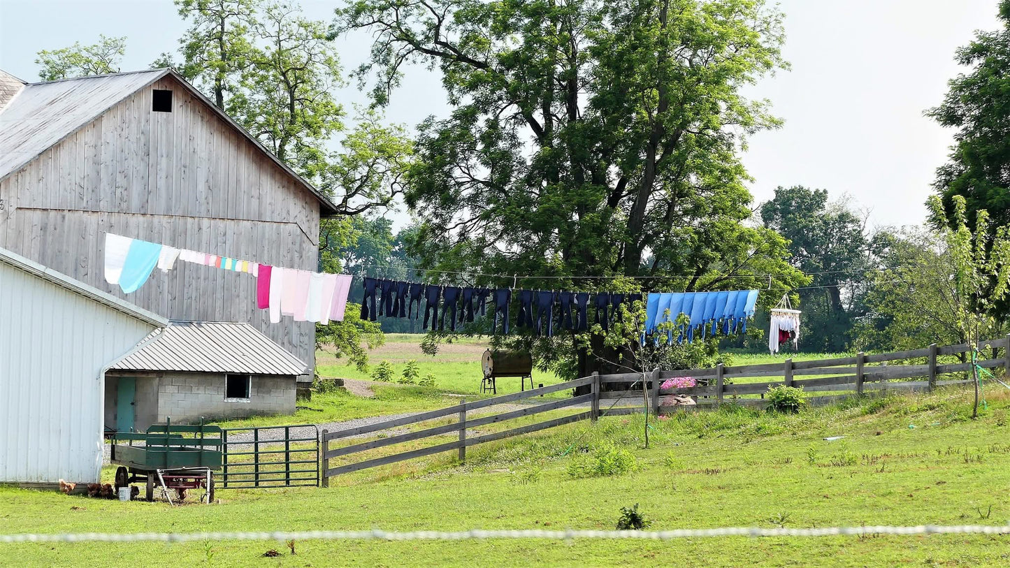 Retractable Laundry Clothes Dryer