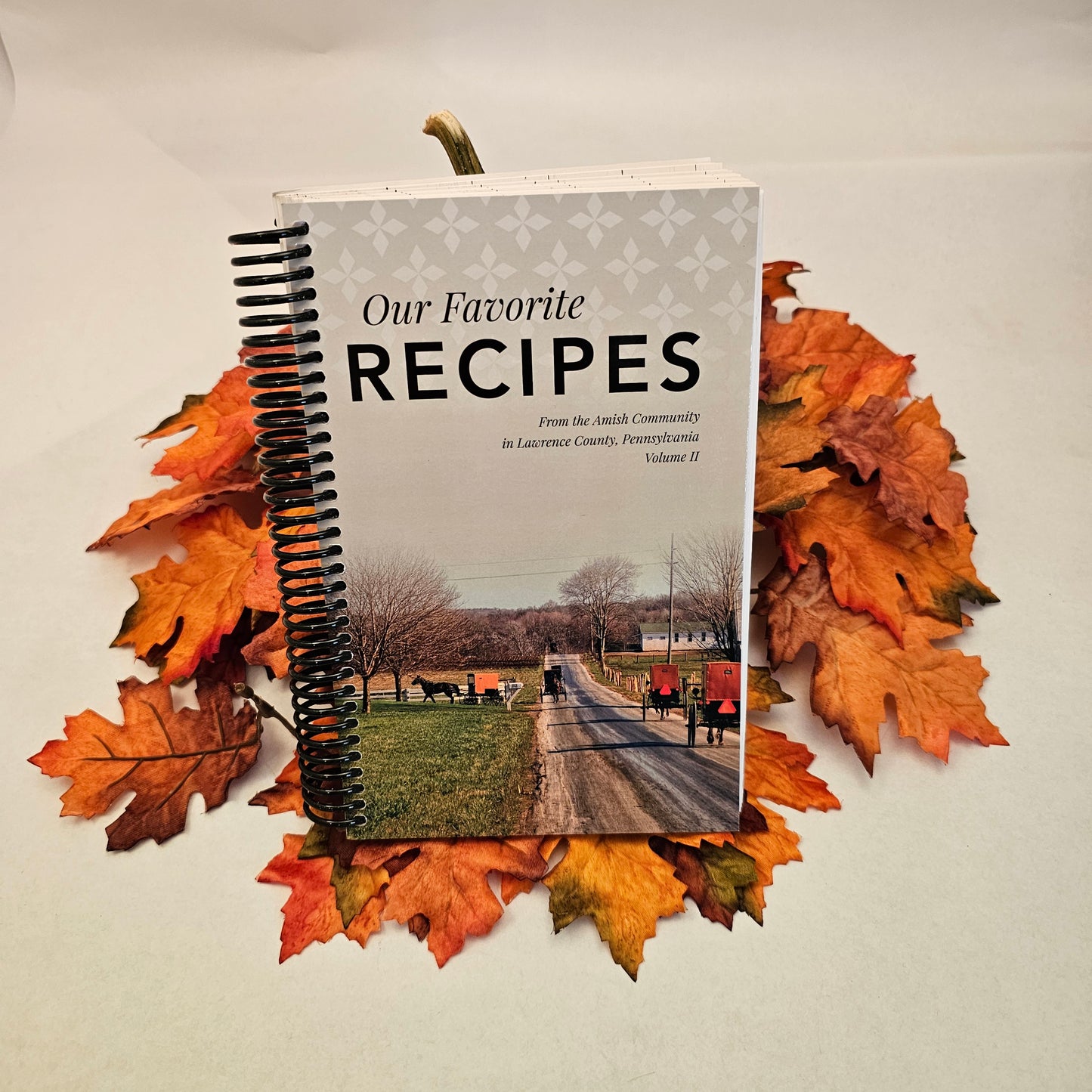 Cookbook-Amish - Our Favorite Recipes: Volume2